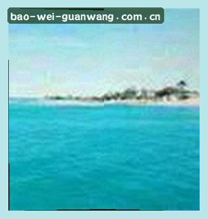 孙悦